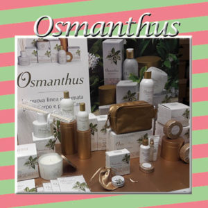 4_osmanthus